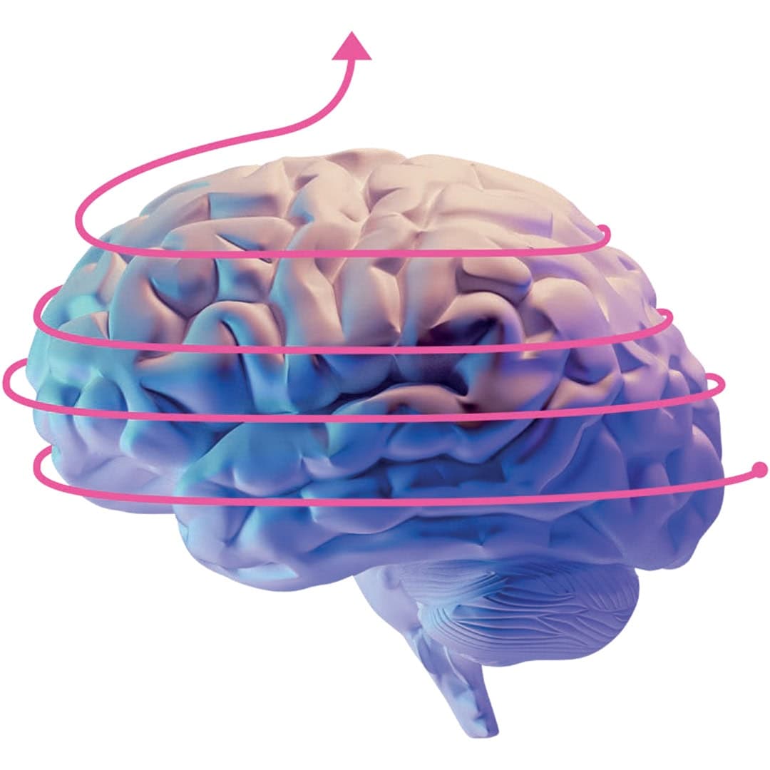Ett kollage med en hjärna