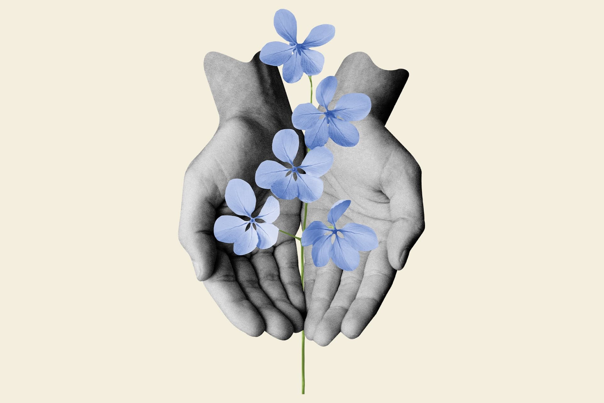 Ett kollage med händer och blommor.
