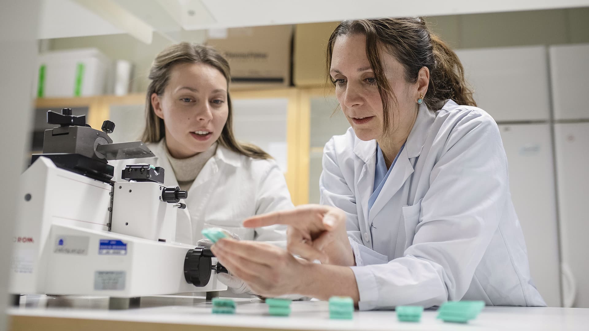 Karin Forsberg neurolog och forskare vid institutionen för klinisk vetenskap, Umeå universitet