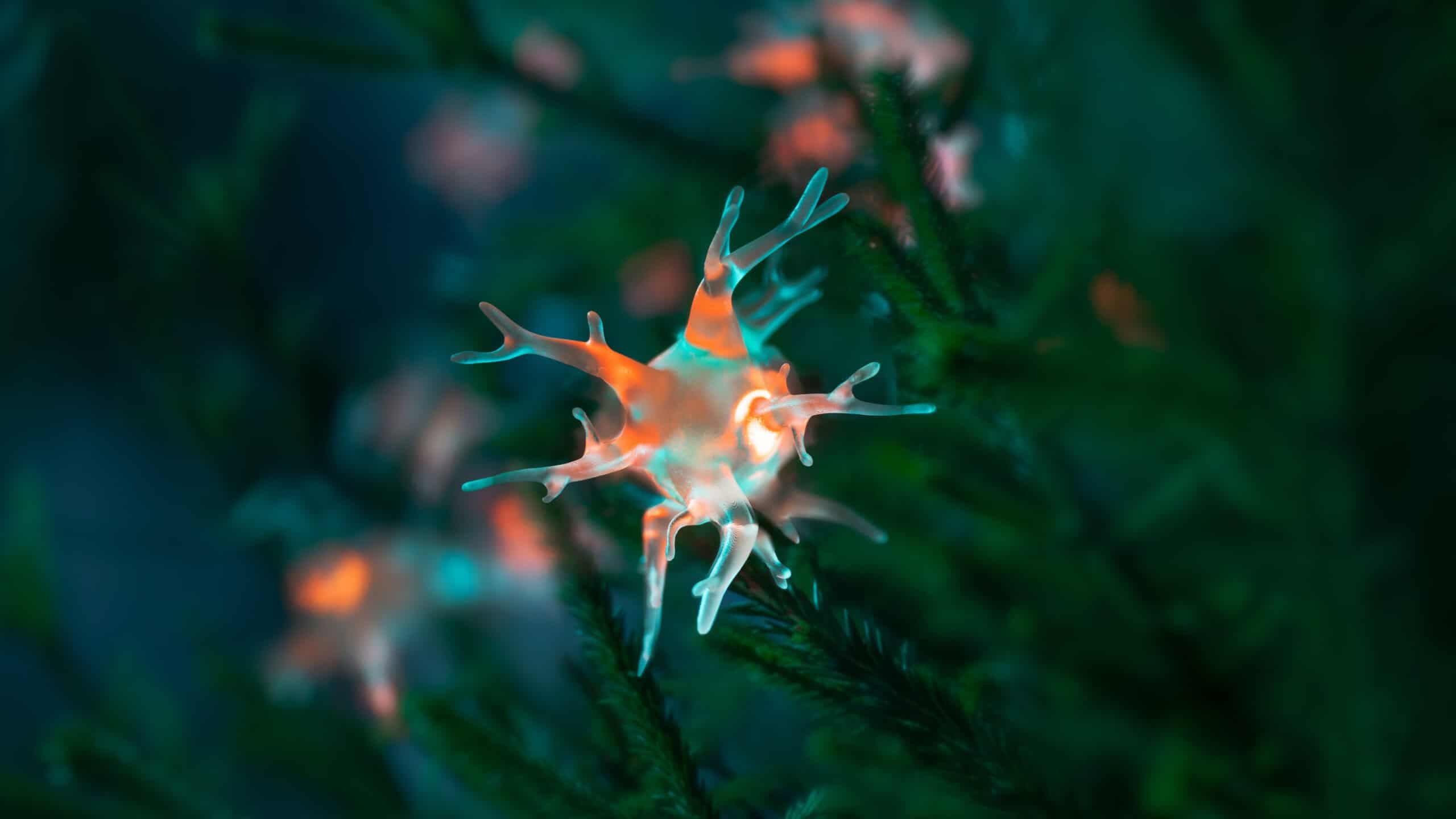 Nervcell avbildad i ljus.