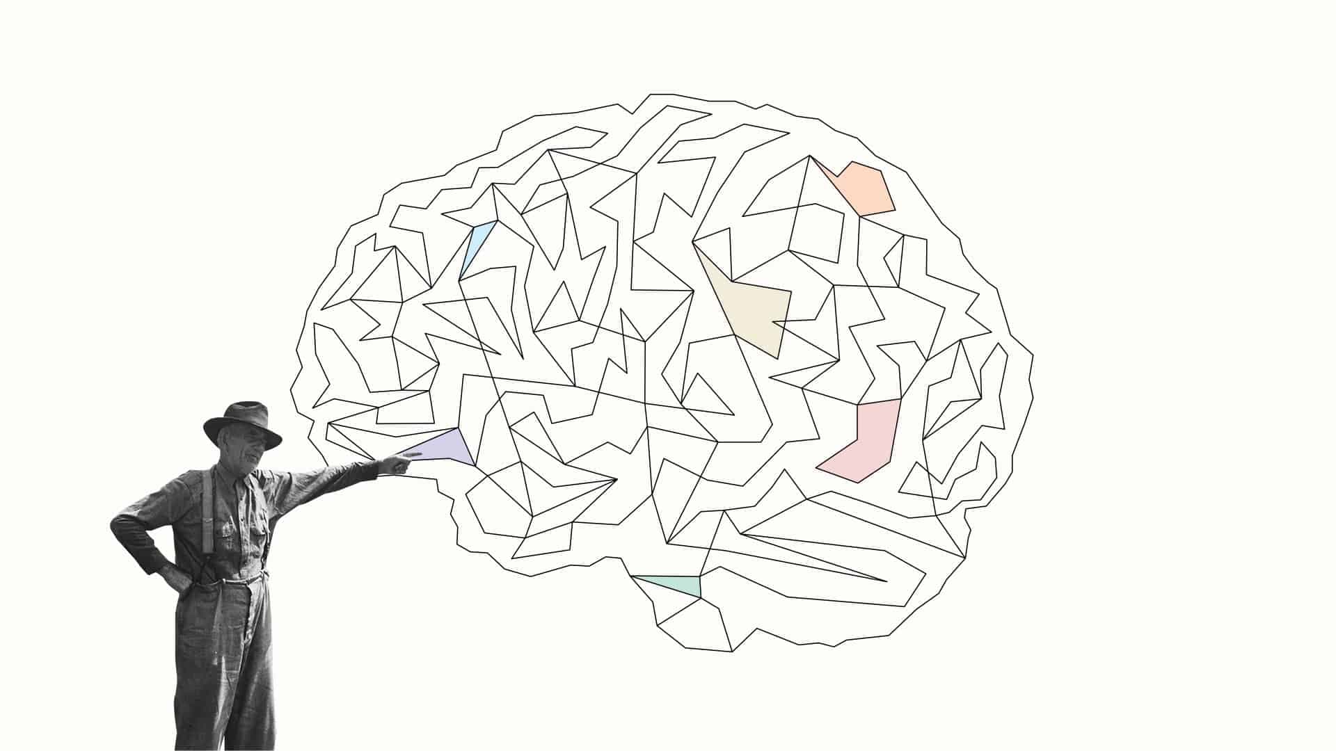 Bild på person med hatt som pekar på en grafisk hjärna