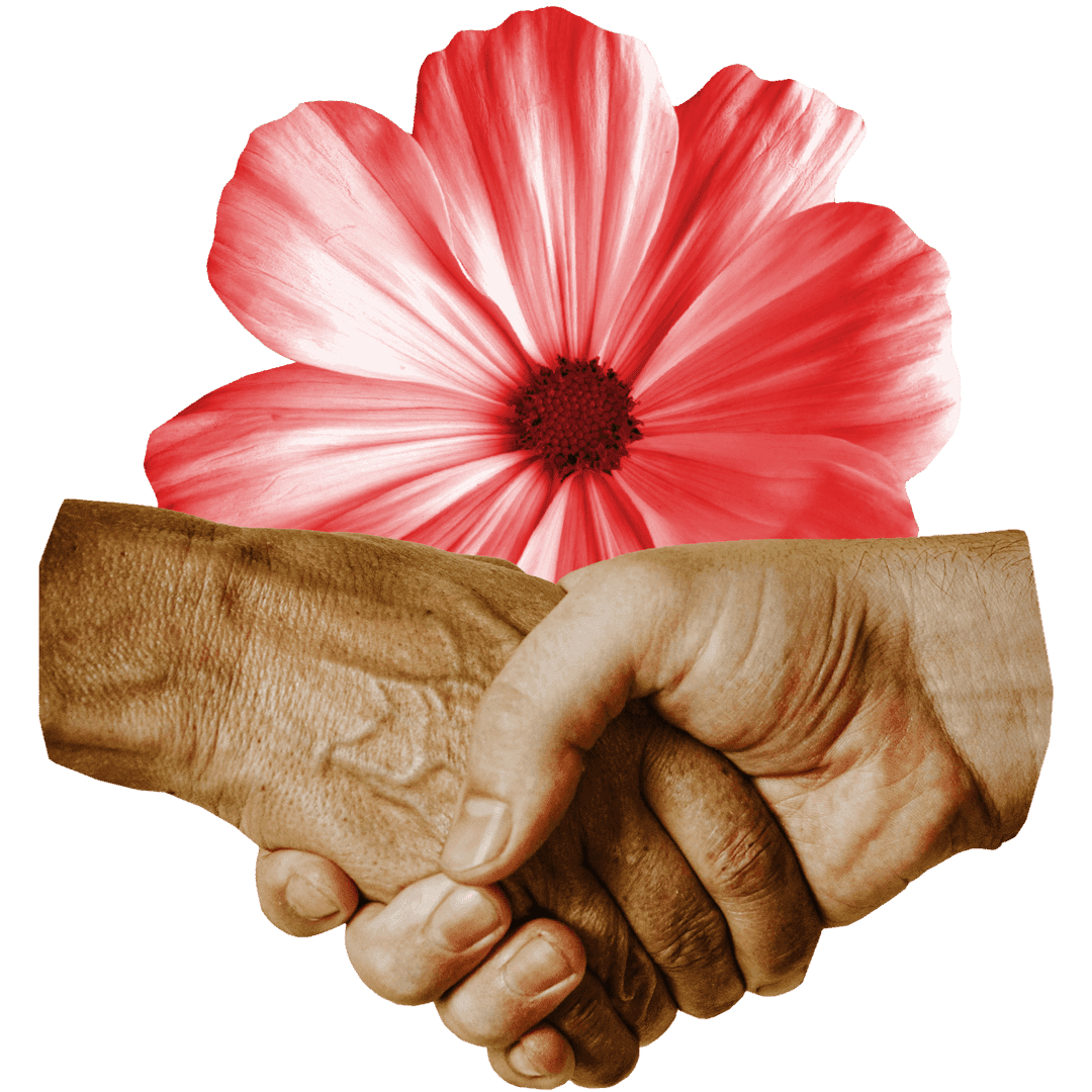 Kollage med två händer skakar hand framför en blomma.