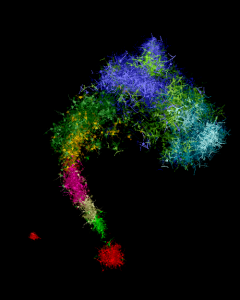Illustration av oligodendrocyt-mångfald. Av: Job van der Zwan, Karolinska Institutet
