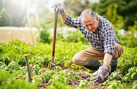 Man som arbetar i trädgården för att minska risken för stroke
