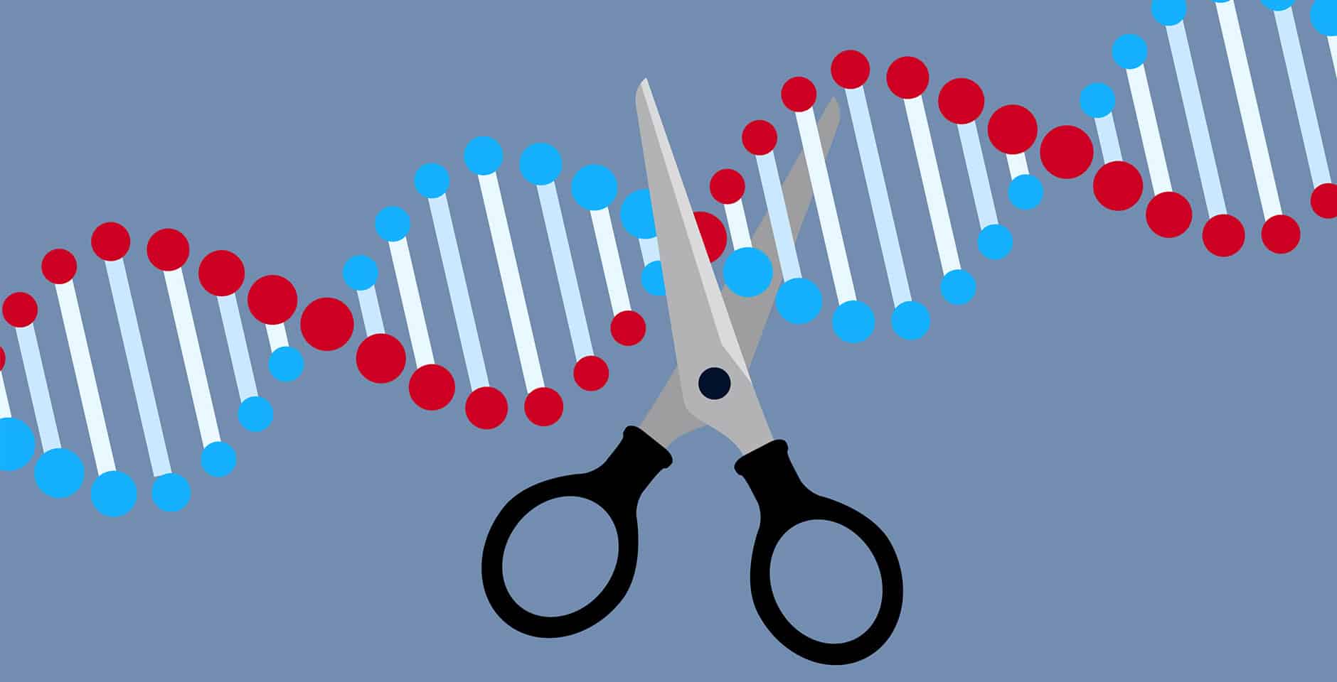 Crispr-gen redigering - Illustration