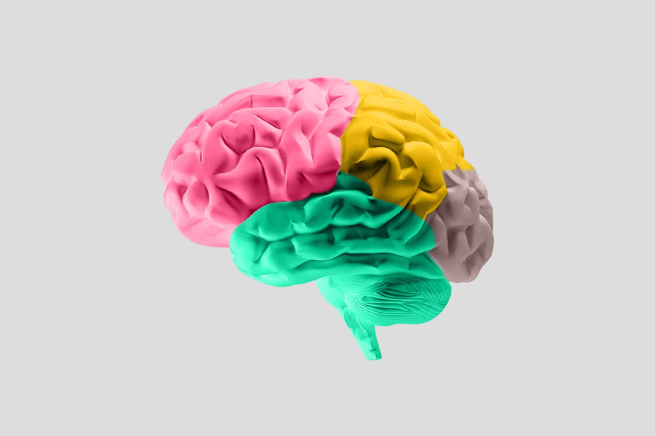 Illustration av en hjärna