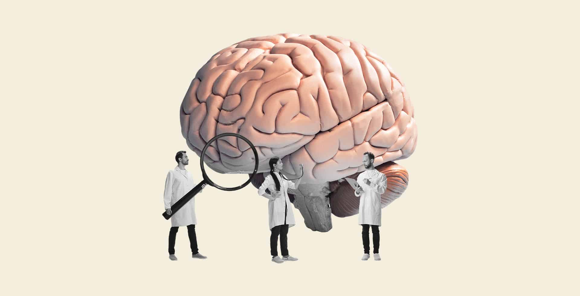 Ett kollage med tre forskare som stor runt en stor hjärna mot grå bakgrund.