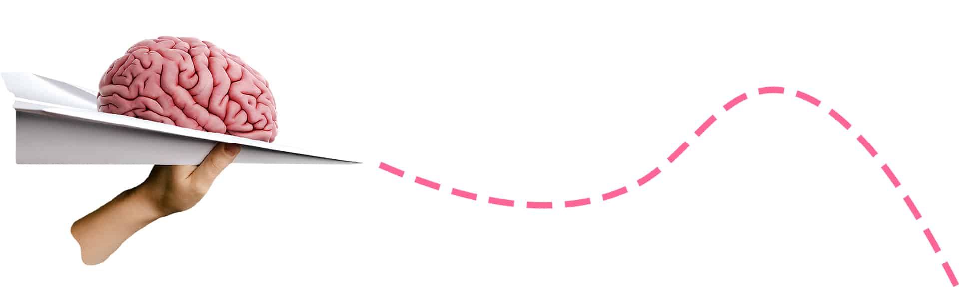 Ett kollage med ett pappersflygplan, en hjärna och en streckad rosa linje