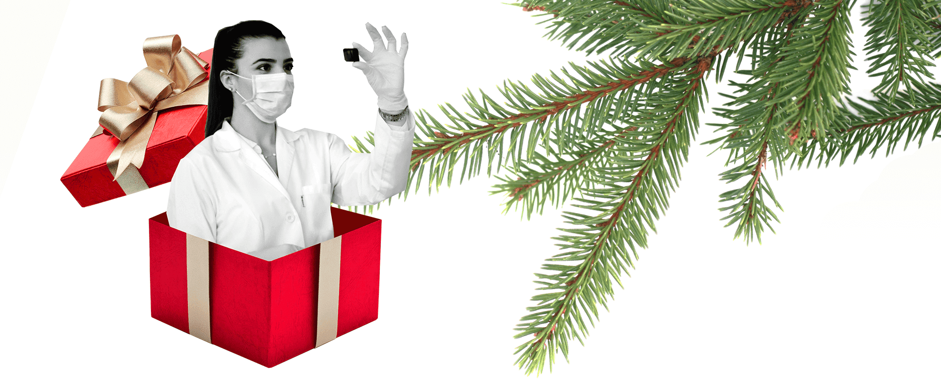 Ett kollage med en forskare inuti en julklapp samt granbarr – grafisk bild för 2023 års företag julkampanj