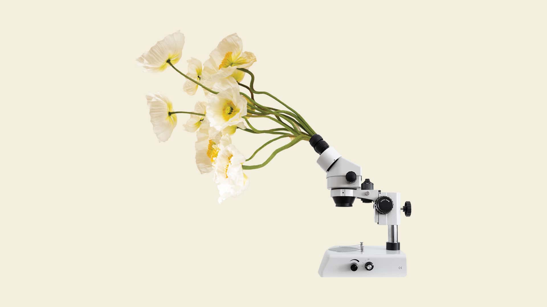 Ett kollage med ett mikroskop och blommor mot beige bakgrund.