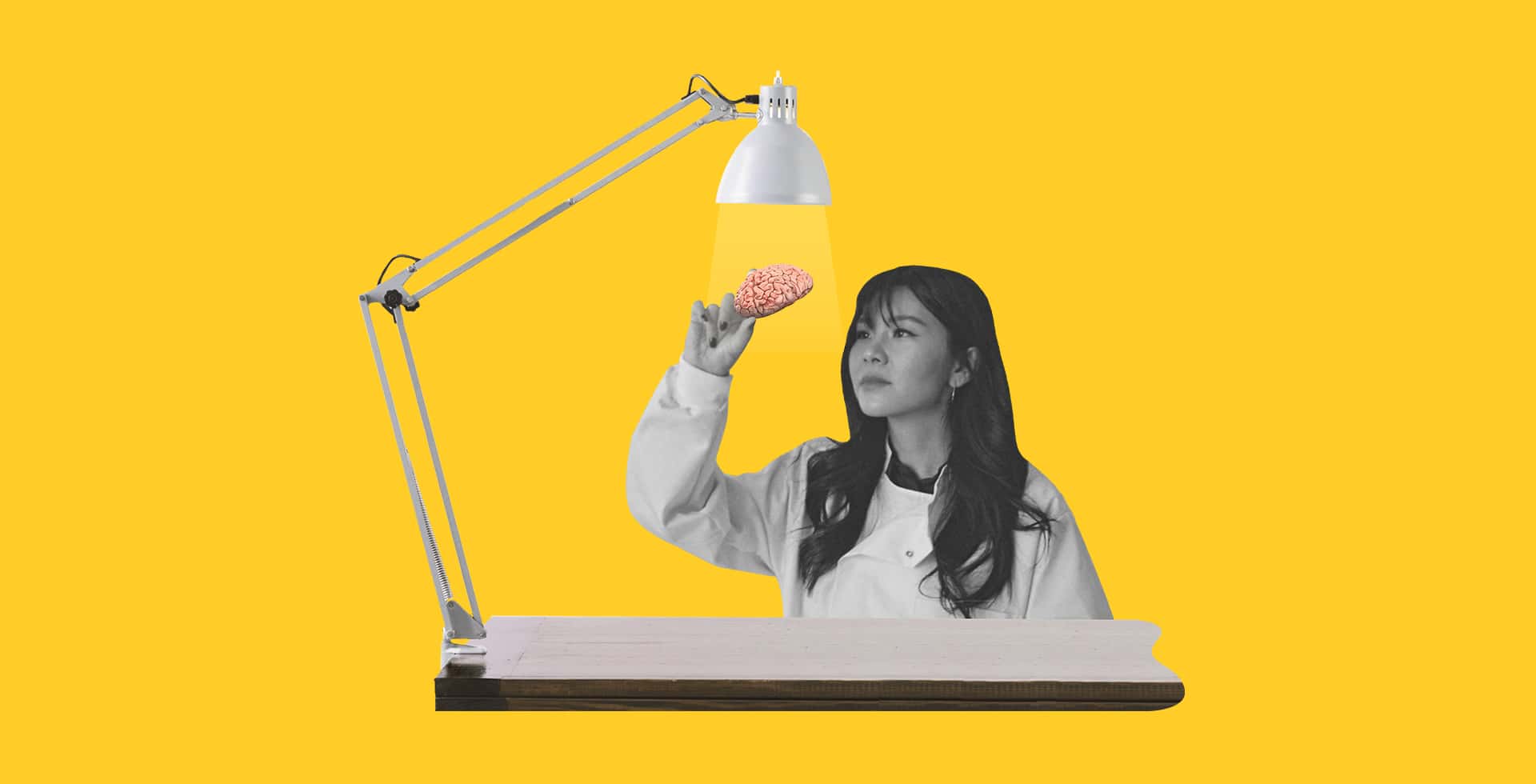 Ett kollage där en forskare håller en liten hjärna under en lampa.